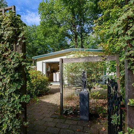 Luxe Familiehuis Veluwe 4-6 Persons Pool Kids Dog Campsite Hoenderloo