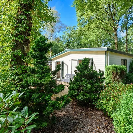 Campsite Luxe Familiehuis Veluwe 4-6 Persons Pool Kids Dog *