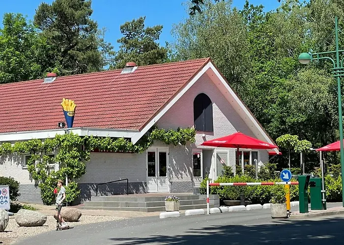 Luxe Familiehuis Veluwe 4-6 Persons Pool Kids Dog *