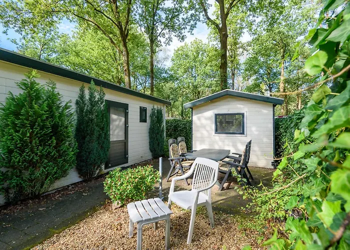 Luxe Familiehuis Veluwe 4-6 Persons Pool Kids Dog *