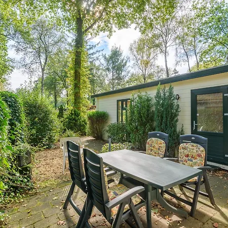 Luxe Familiehuis Veluwe 4-6 Persons Pool Kids Dog *