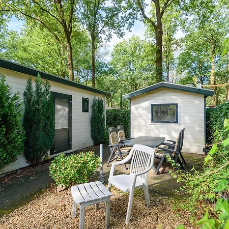 Luxe Familiehuis Veluwe 4-6 Persons Pool Kids Dog *
