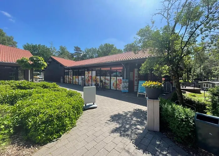 Luxe Familiehuis Veluwe 4-6 Persons Pool Kids Dog