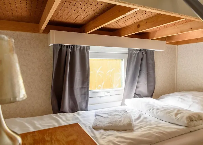 Luxe Familiehuis Veluwe 4-6 Persons Pool Kids Dog *