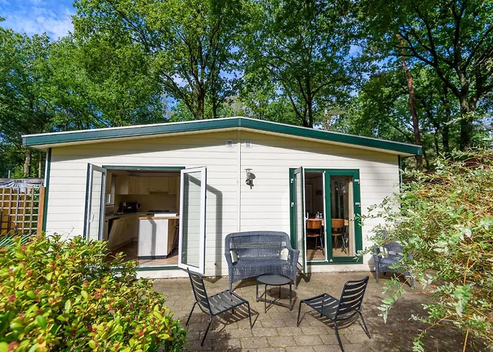 Luxe Familiehuis Veluwe 4-6 Persons Pool Kids Dog *